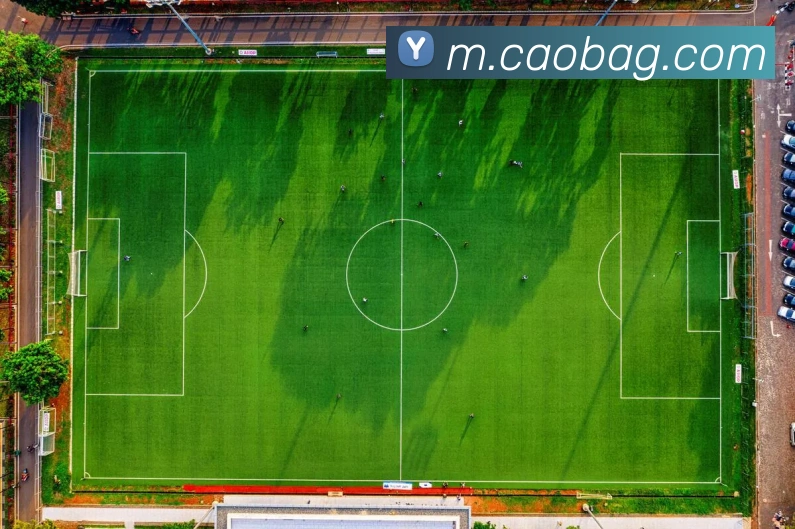 ag官网平台生态图